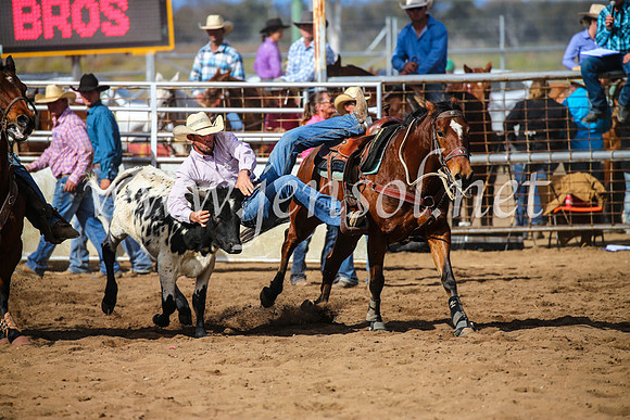 CoonambleRodeoCampdraftSun_3516