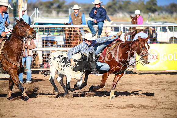CoonambleRodeoCampdraftSun_4090