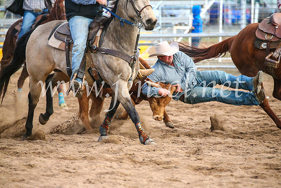 CoonambleRodeoCampdraftSun_5136