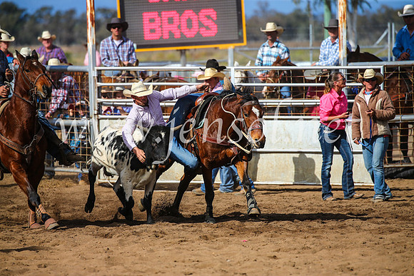 CoonambleRodeoCampdraftSun_3507