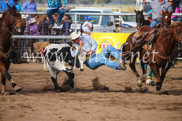 CoonambleRodeoCampdraftSun_3588