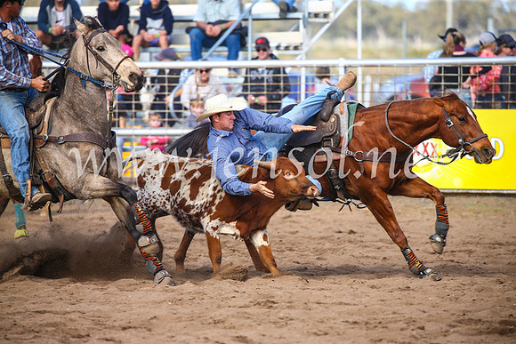 CoonambleRodeoCampdraftSun_3553