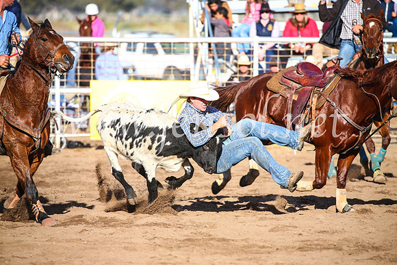 CoonambleRodeoCampdraftSun_4092