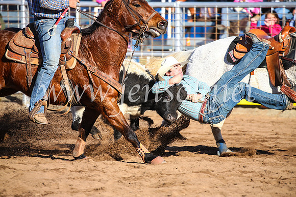 CoonambleRodeoCampdraftSun_4110