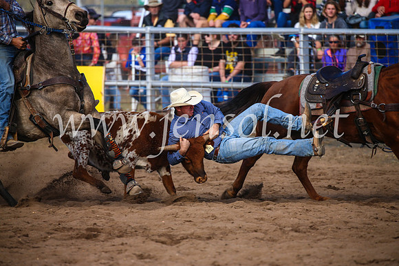 CoonambleRodeoCampdraftSun_3555