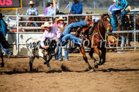 CoonambleRodeoCampdraftSun_3518