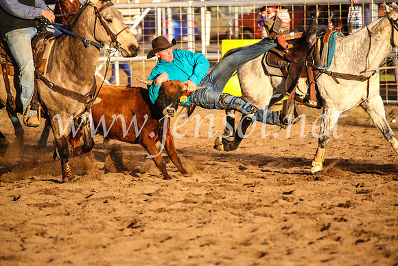 CoonambleRodeoCampdraftSun_5082