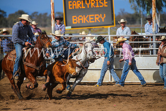 CoonambleRodeoCampdraftSun_3524