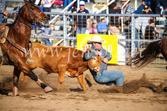 CoonambleRodeoCampdraftSun_4102
