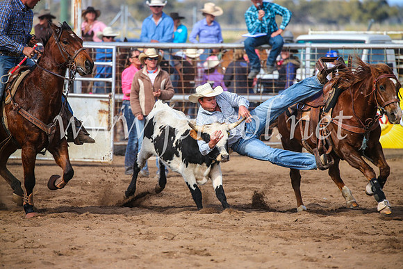 CoonambleRodeoCampdraftSun_3587