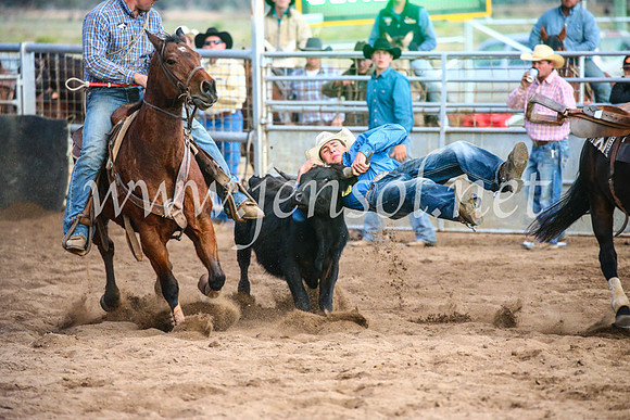 CoonambleRodeoCampdraftSun_5120