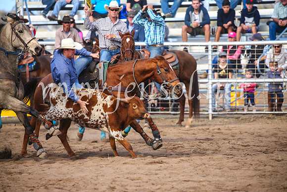 CoonambleRodeoCampdraftSun_3545
