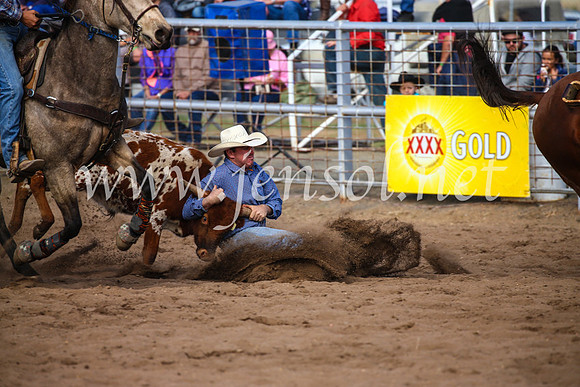 CoonambleRodeoCampdraftSun_3551