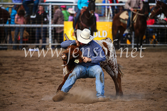 CoonambleRodeoCampdraftSun_3559