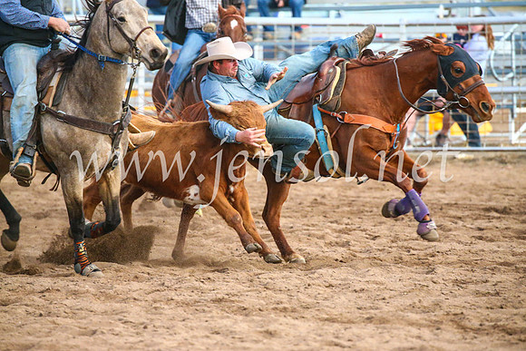CoonambleRodeoCampdraftSun_5141
