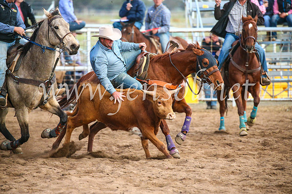 CoonambleRodeoCampdraftSun_5130