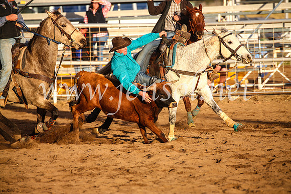 CoonambleRodeoCampdraftSun_5074