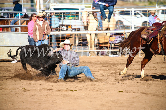 CoonambleRodeoCampdraftSun_4122