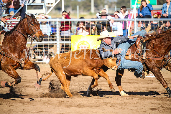 CoonambleRodeoCampdraftSun_4104
