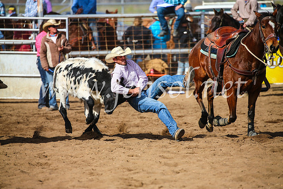 CoonambleRodeoCampdraftSun_3519