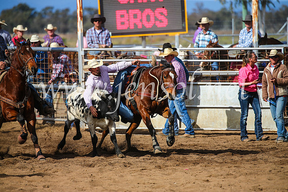 CoonambleRodeoCampdraftSun_3508