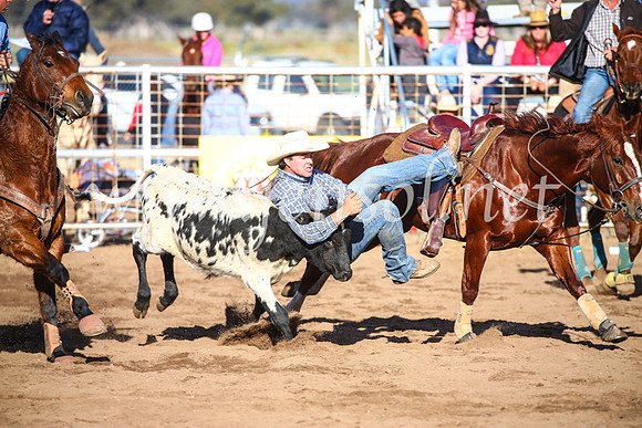 CoonambleRodeoCampdraftSun_4093