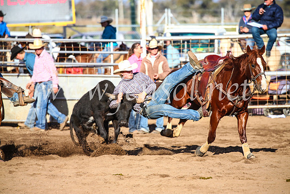 CoonambleRodeoCampdraftSun_4116