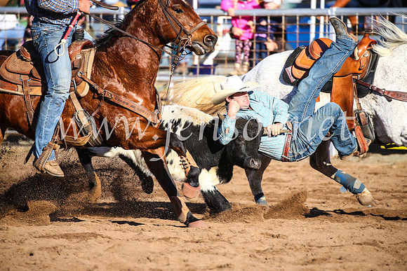 CoonambleRodeoCampdraftSun_4111