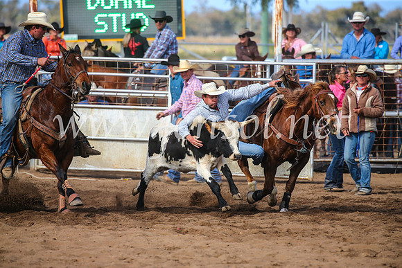 CoonambleRodeoCampdraftSun_3571