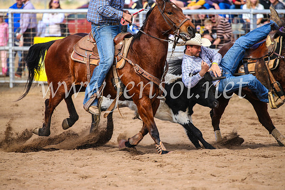 CoonambleRodeoCampdraftSun_3496