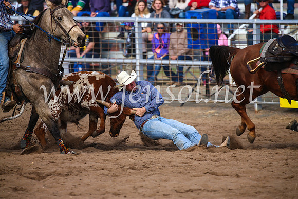 CoonambleRodeoCampdraftSun_3546