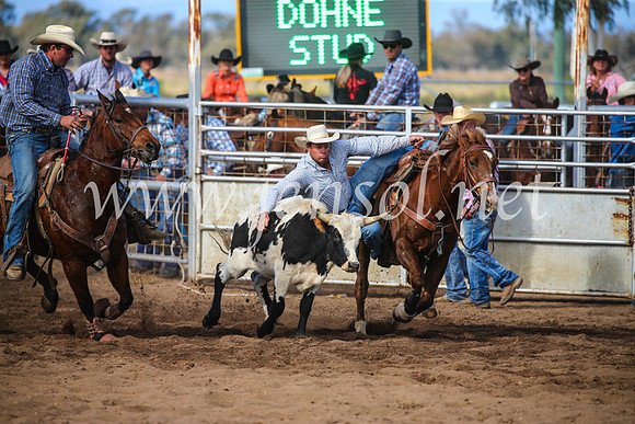 CoonambleRodeoCampdraftSun_3578