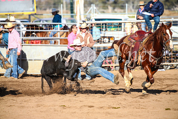 CoonambleRodeoCampdraftSun_4123