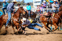 CoonambleRodeoCampdraftSun_3489