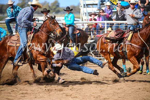 CoonambleRodeoCampdraftSun_3489
