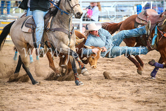 CoonambleRodeoCampdraftSun_5131