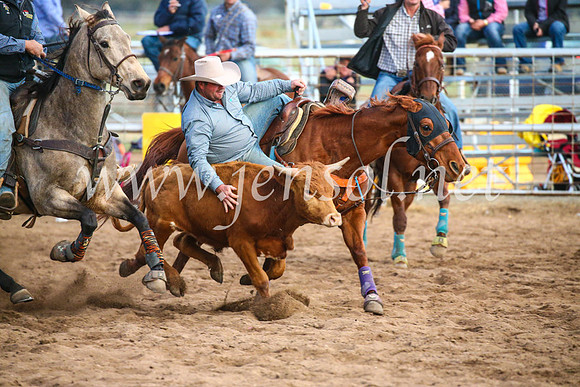 CoonambleRodeoCampdraftSun_5137