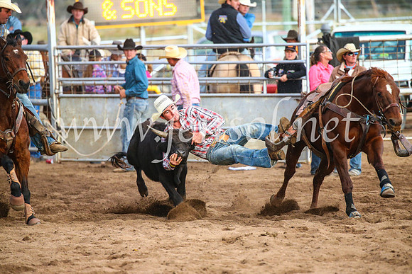 CoonambleRodeoCampdraftSun_5109