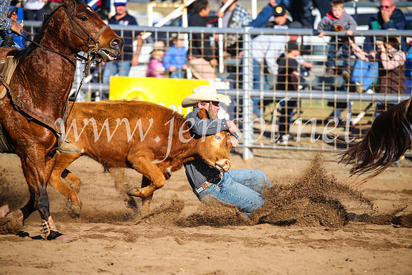 CoonambleRodeoCampdraftSun_4101