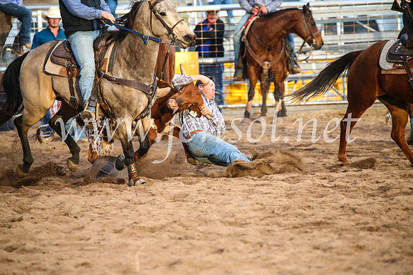 CoonambleRodeoCampdraftSun_5095