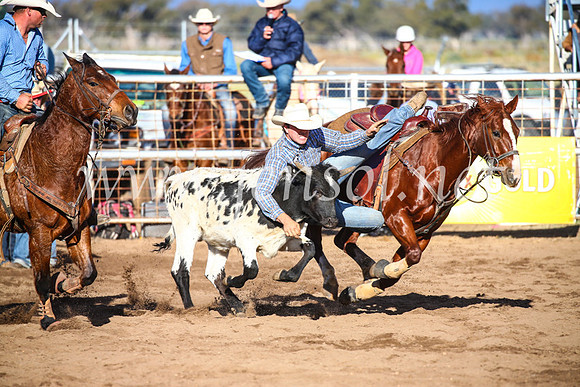 CoonambleRodeoCampdraftSun_4091