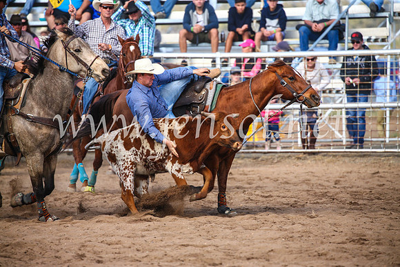 CoonambleRodeoCampdraftSun_3552