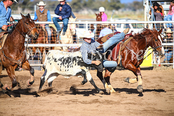 CoonambleRodeoCampdraftSun_4094