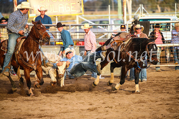CoonambleRodeoCampdraftSun_5091