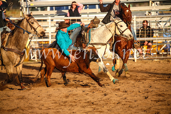 CoonambleRodeoCampdraftSun_5075