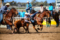 CoonambleRodeoCampdraftSun_3493