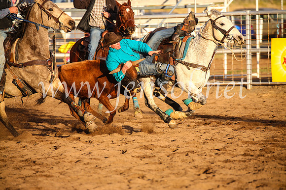 CoonambleRodeoCampdraftSun_5083