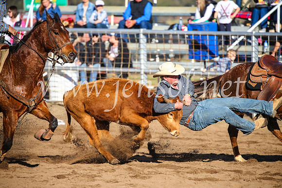 CoonambleRodeoCampdraftSun_4103