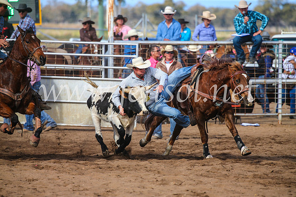 CoonambleRodeoCampdraftSun_3575