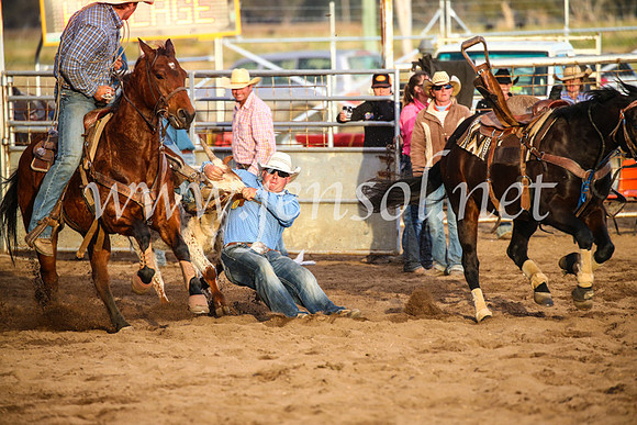 CoonambleRodeoCampdraftSun_5093